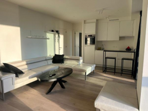 Luxurious Apartment with Panoramic View